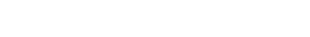Visionet Systems Inc.