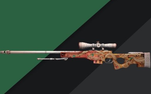 Best AWP Under $100
